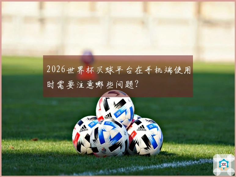 2026世界杯买球平台在手机端使用时需要注意哪些问题？