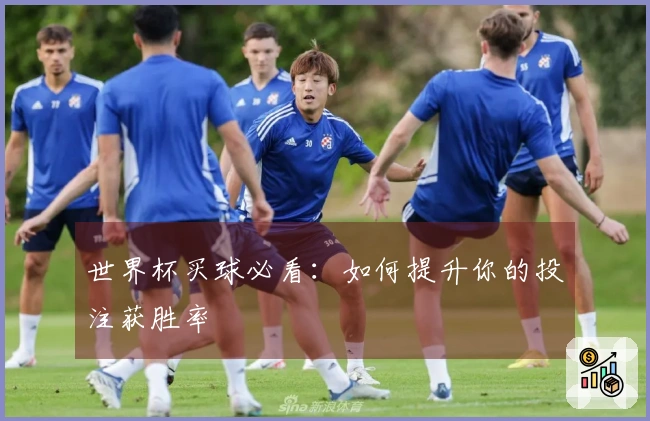 世界杯买球必看：如何提升你的投注获胜率