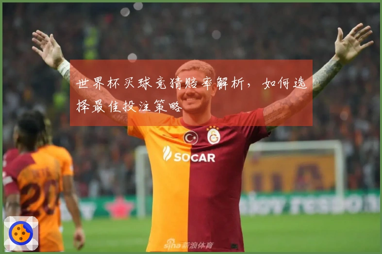 世界杯买球竞猜赔率解析，如何选择最佳投注策略