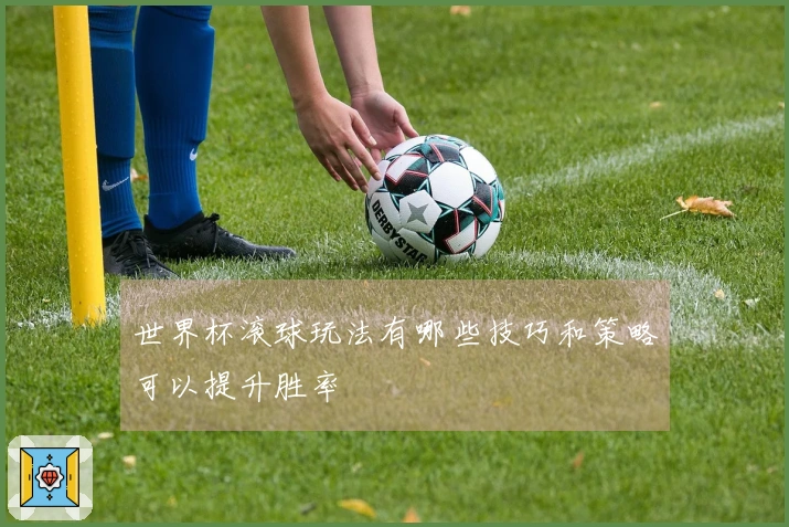 世界杯滚球玩法有哪些技巧和策略可以提升胜率