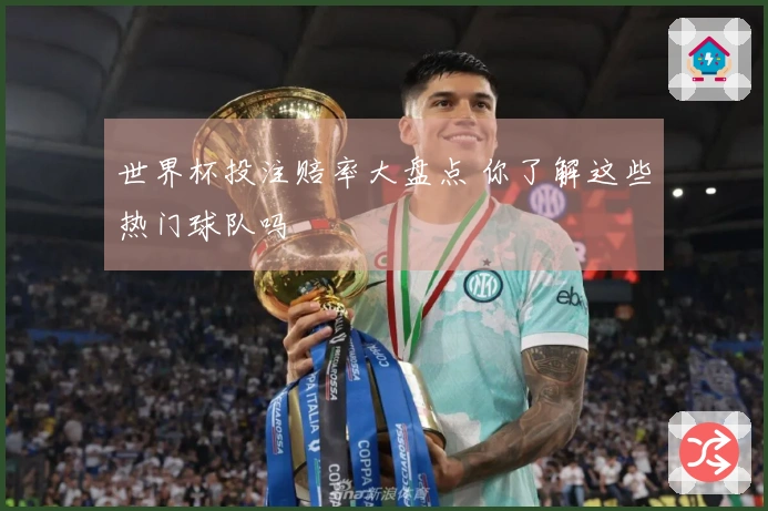 世界杯投注赔率大盘点 你了解这些热门球队吗