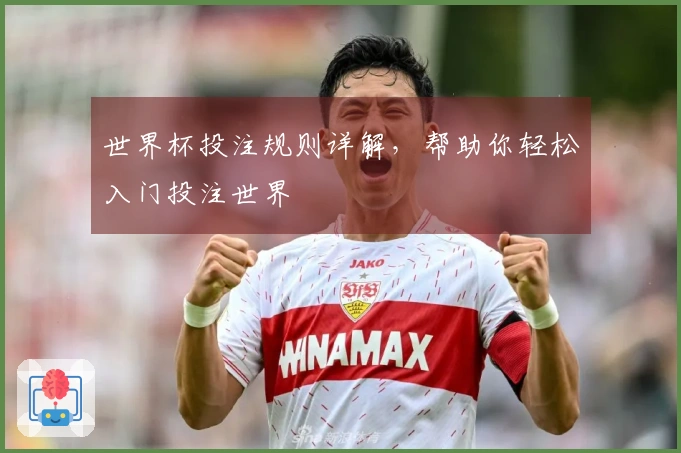 世界杯投注规则详解，帮助你轻松入门投注世界