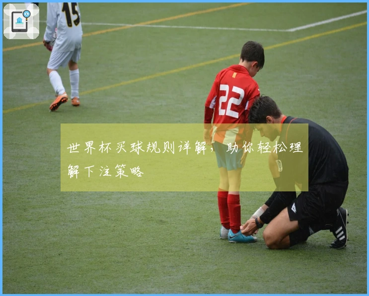 世界杯买球规则详解，助你轻松理解下注策略