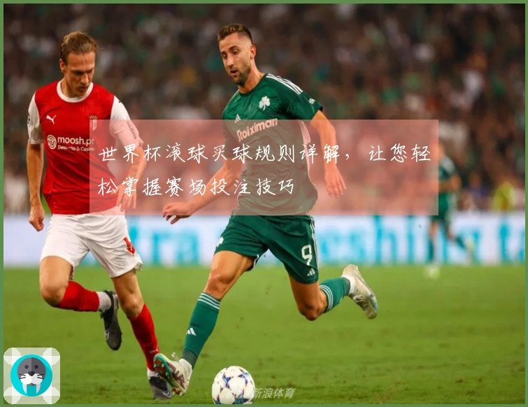 世界杯滚球买球规则详解，让您轻松掌握赛场投注技巧