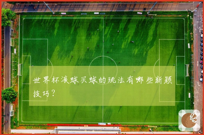 世界杯滚球买球的玩法有哪些新颖技巧？