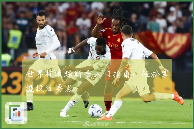 世界杯滚球新手入门指南，轻松掌握投注要点