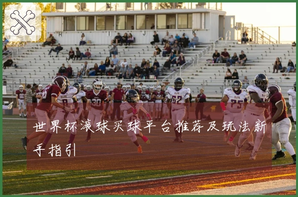 世界杯滚球买球平台推荐及玩法新手指引