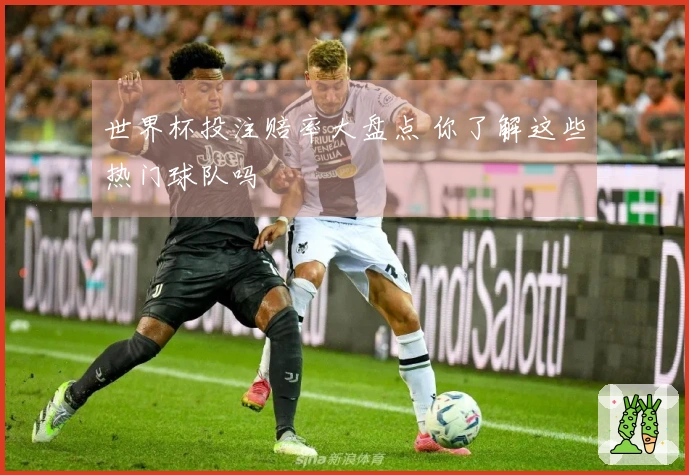 世界杯投注赔率大盘点 你了解这些热门球队吗