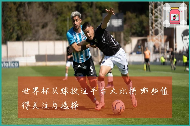 世界杯买球投注平台大比拼 哪些值得关注与选择