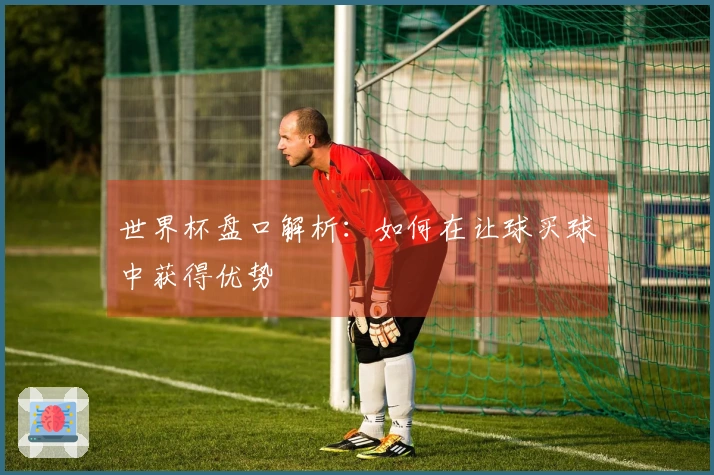世界杯盘口解析：如何在让球买球中获得优势