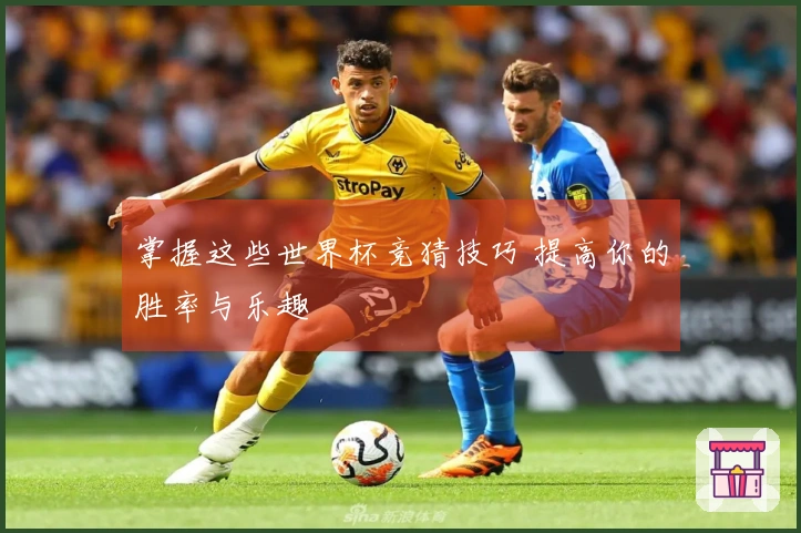 掌握这些世界杯竞猜技巧 提高你的胜率与乐趣